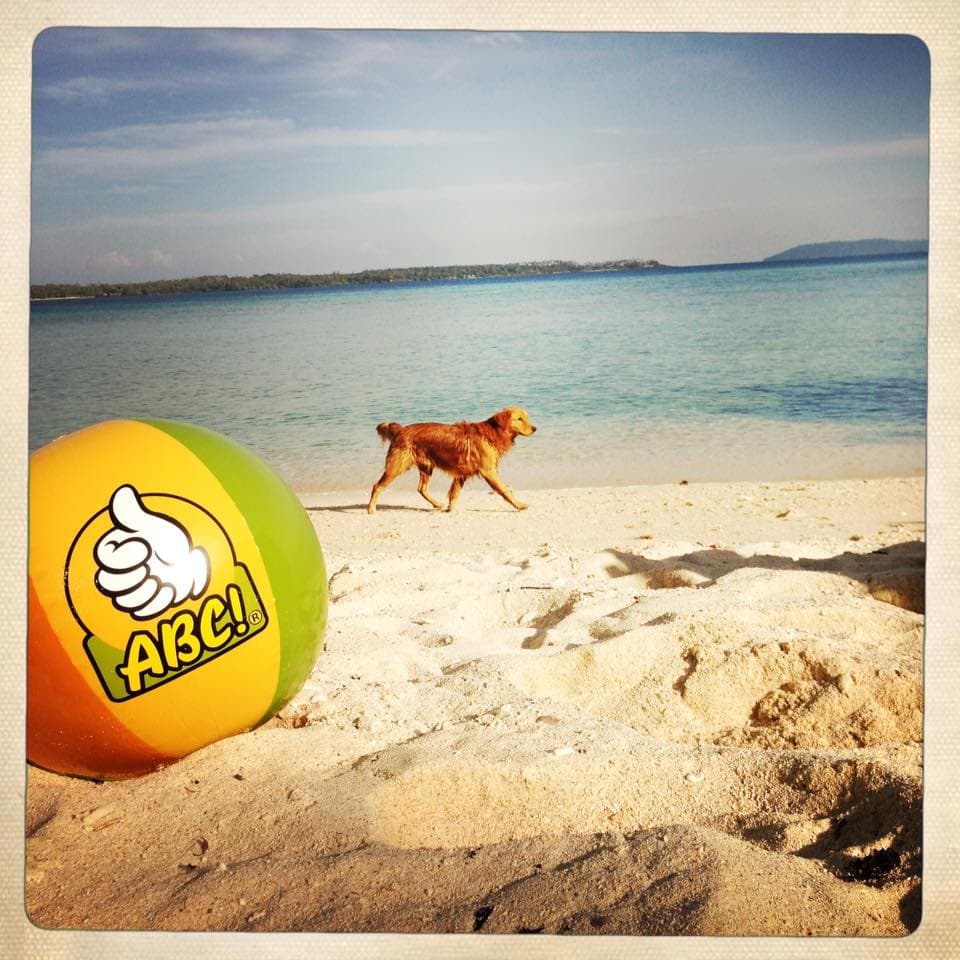 news article thumbnail